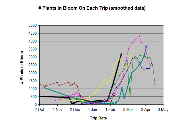 Graph showing the number of individual plants found in bloom on each trip for 2008-2009 and 2009-2010