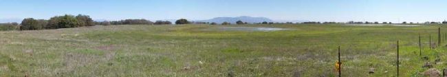 small vernal pool next to vp trailhead at srp